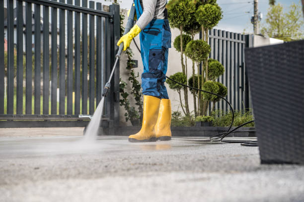 Best Pool Deck Cleaning  in Fort Meade, FL