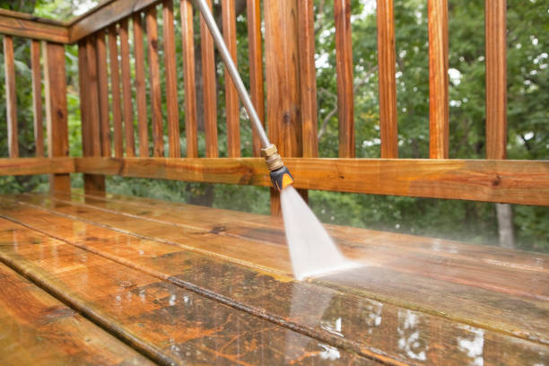 Best Gutter Cleaning  in Fort Meade, FL