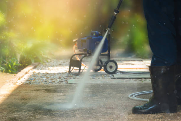 Best Animal Enclosure Cleaning  in Fort Meade, FL